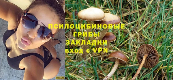 дурь Алексин