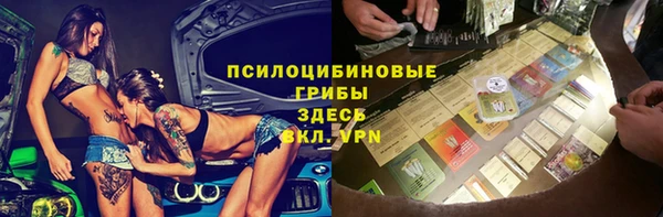 спиды Абаза