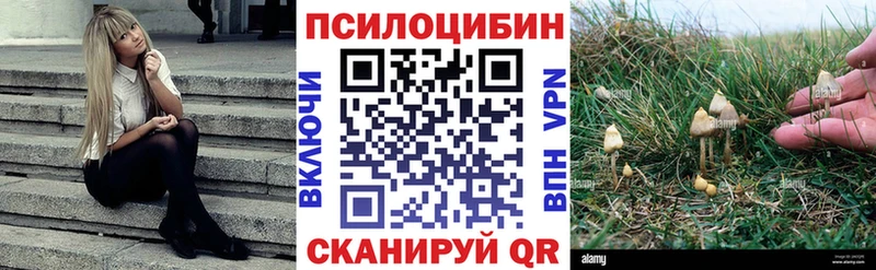 Галлюциногенные грибы мухоморы  где купить наркоту  Лабытнанги 